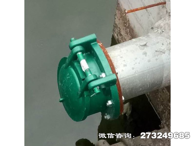 西藏污水管道玻璃钢拍门