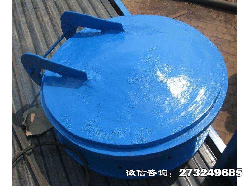 桃江县复合材料防倒灌拍门