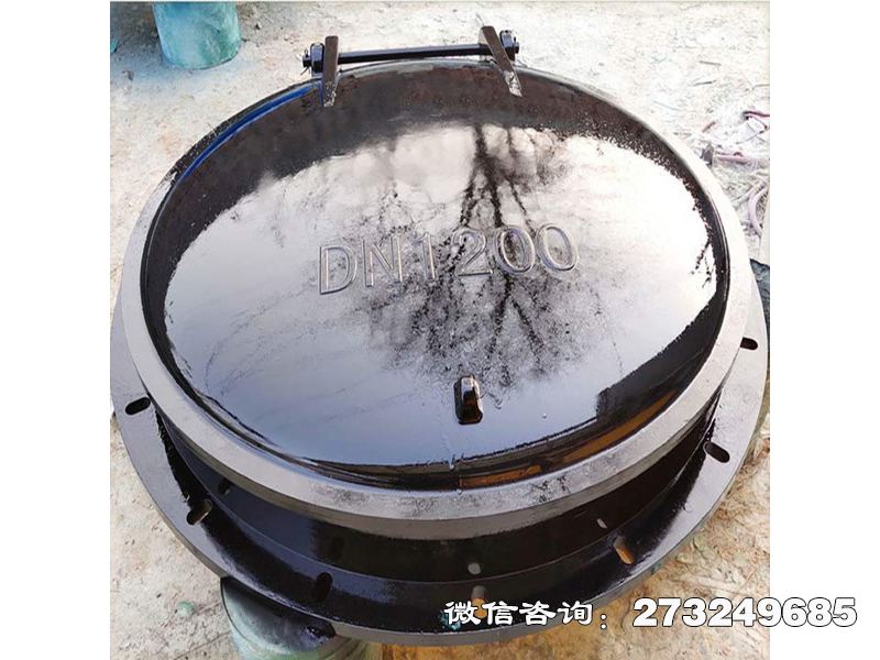 内江防倒灌玻璃钢拍门