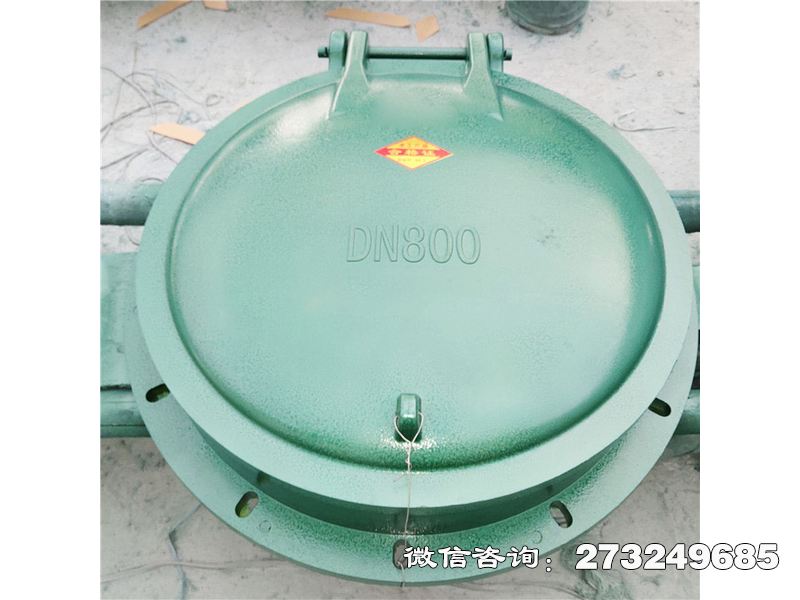 内江玻璃钢自动启闭拍门