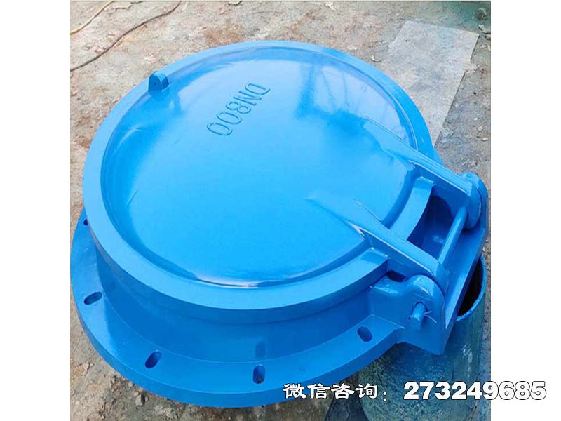 桃江县单向水流控制拍门
