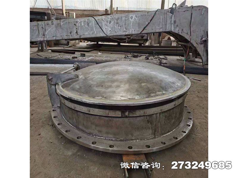 阿坝县排涝泵站不锈钢拍门