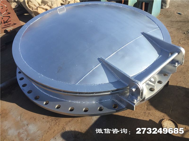 福贡县不锈钢止回拍门