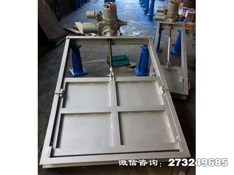 龙陵县316L不锈钢机闸一体闸门