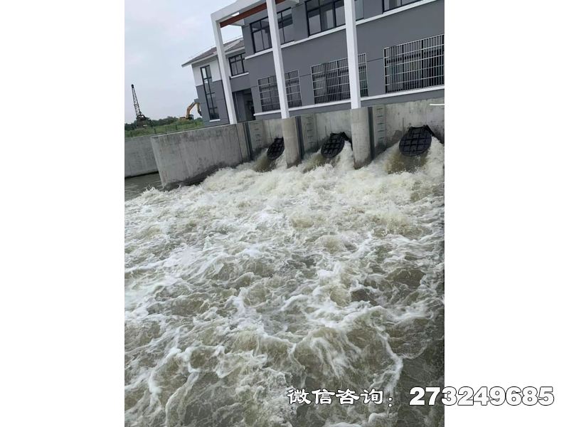 内江防潮堤潮门拍门