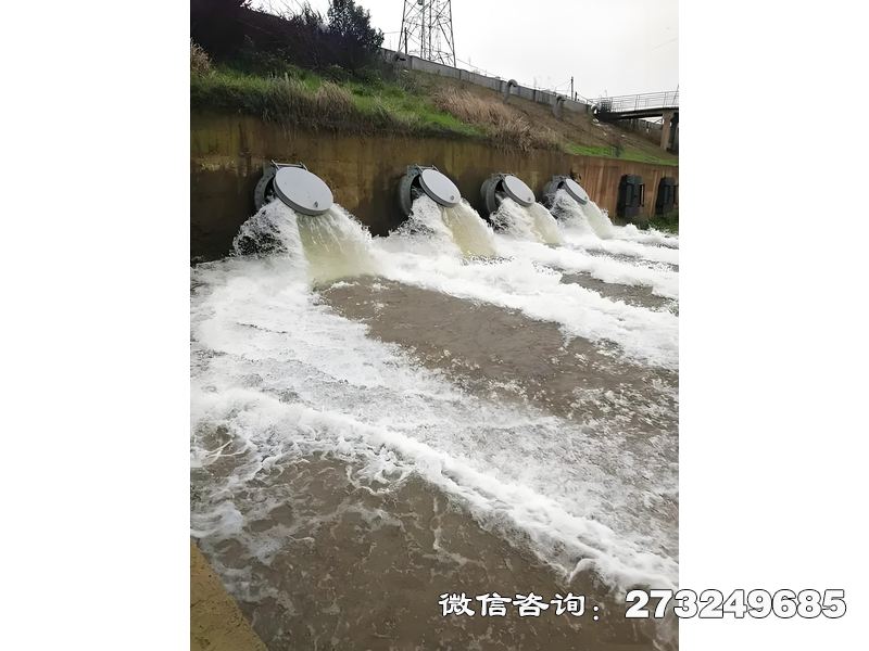 内江排水管网末端潮门拍门
