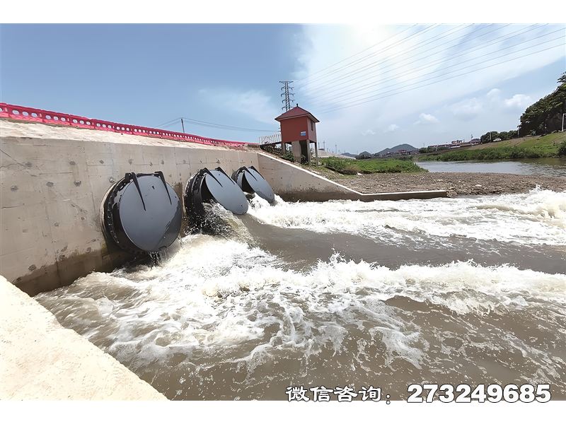 桃江县蓄滞洪区潮门拍门