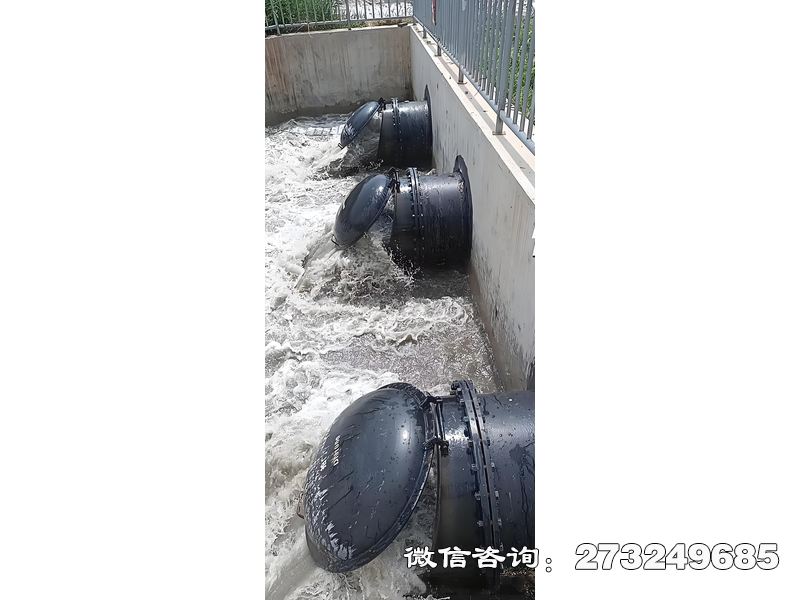 桃江县污水处理厂潮门拍门