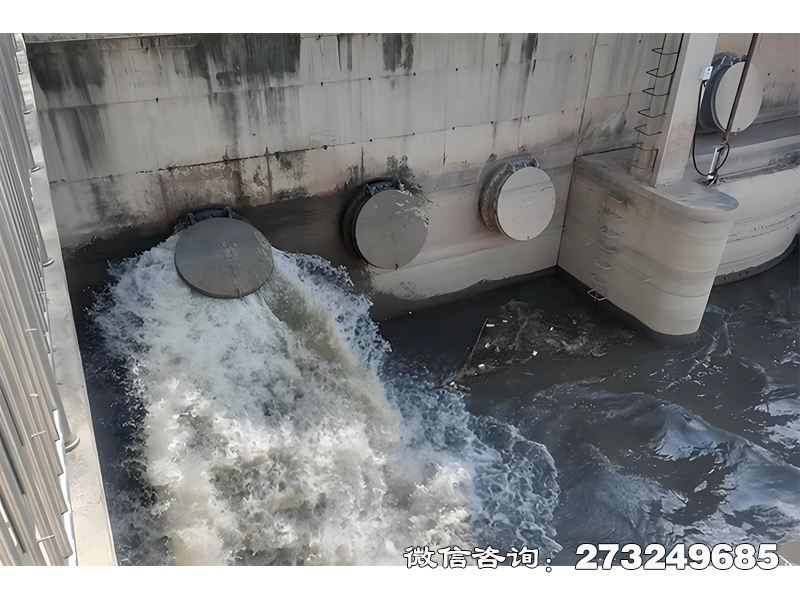 桃江县隧道排水口潮门拍门