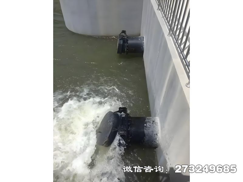 漳州河道潮门拍门