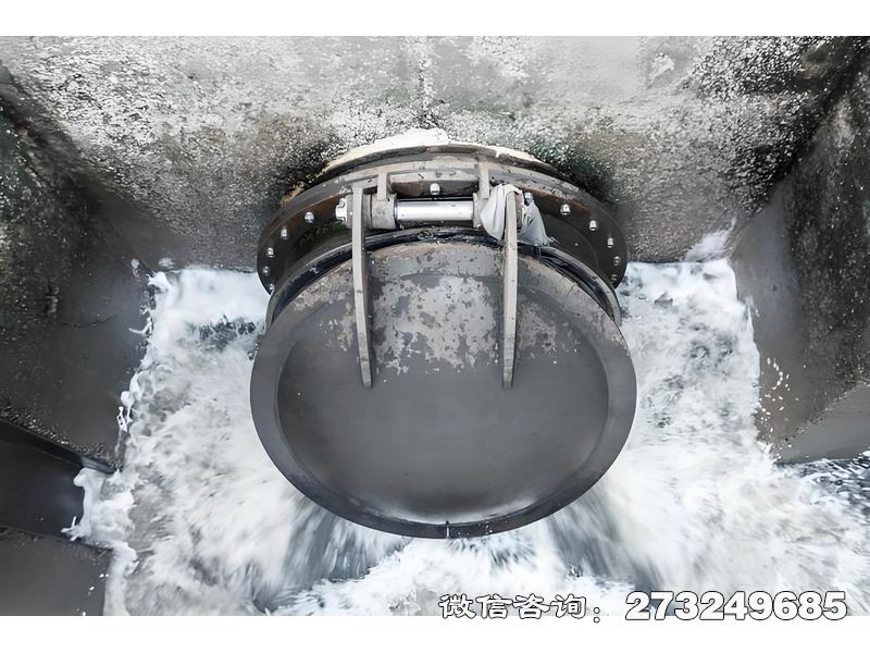 赛罕河道排水潮门拍门