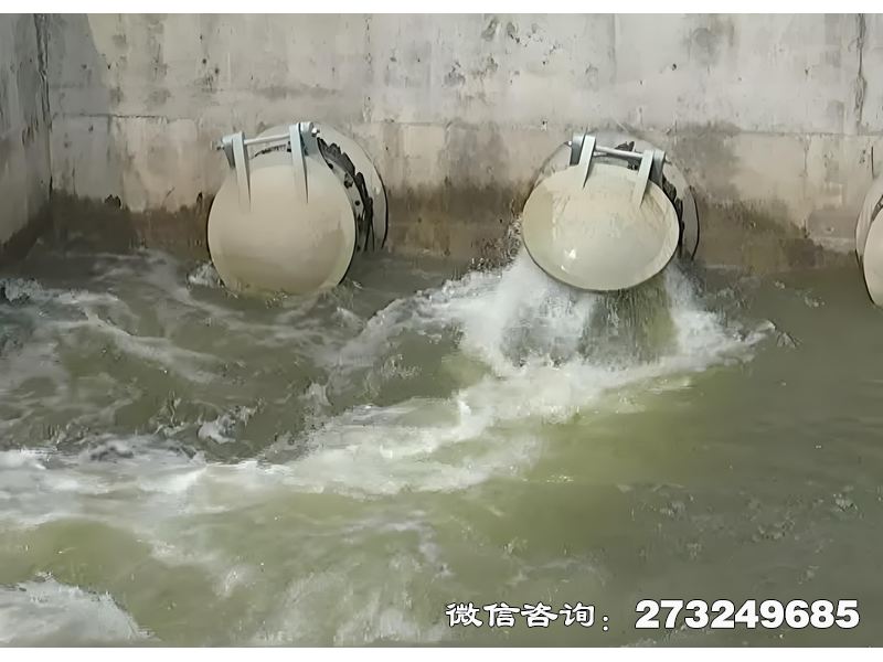 赛罕河道生态护岸排水潮门拍门