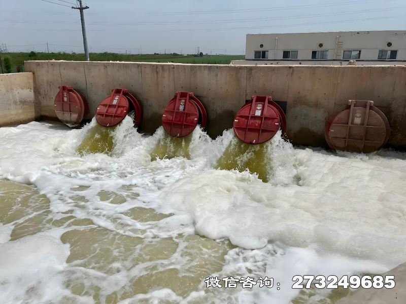 赛罕河口整治工程潮门拍门
