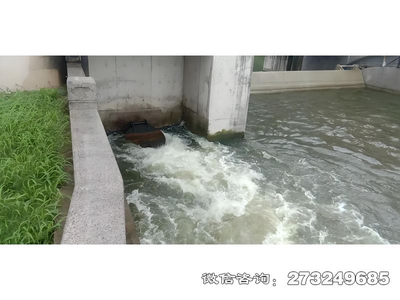 赛罕海塘防潮闸潮门拍门