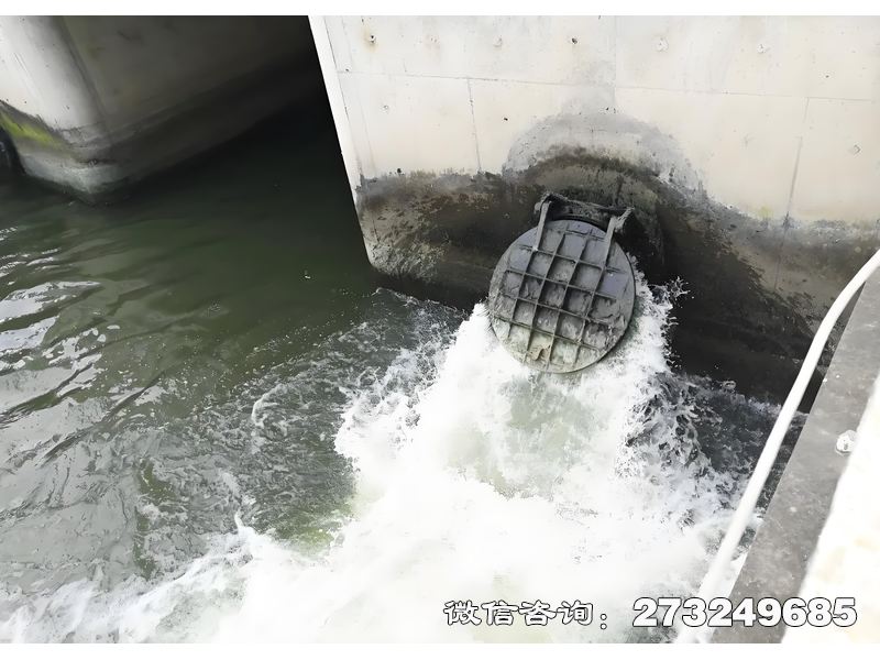 沅江海洋防潮堤拍门