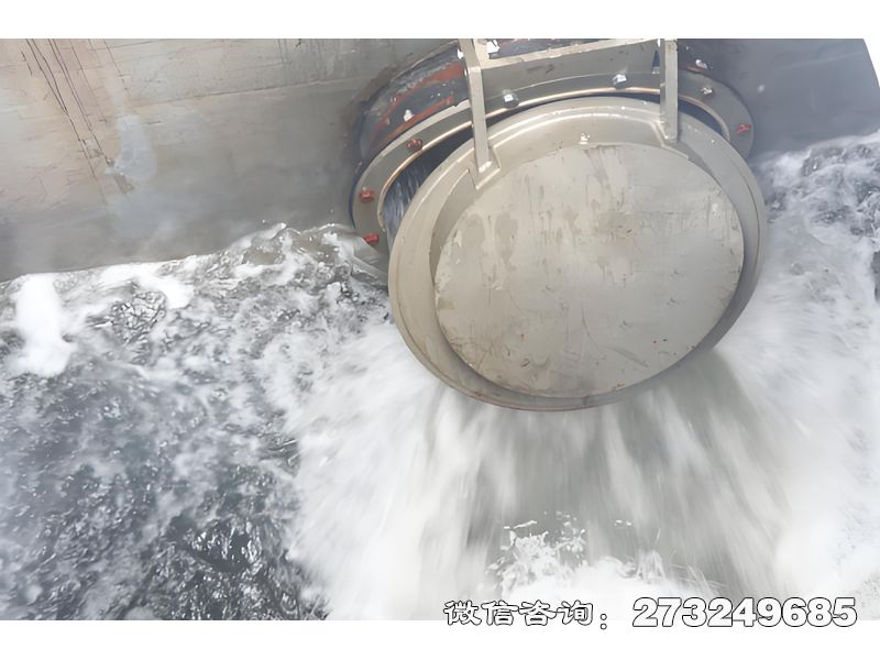 沅江海堤排水拍门