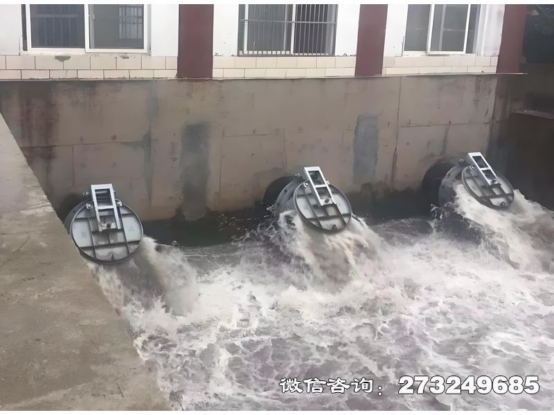 沅江潮汐能管道拍门