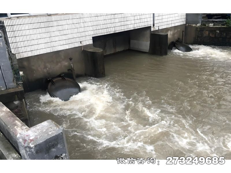 衢江泵站潮门拍门