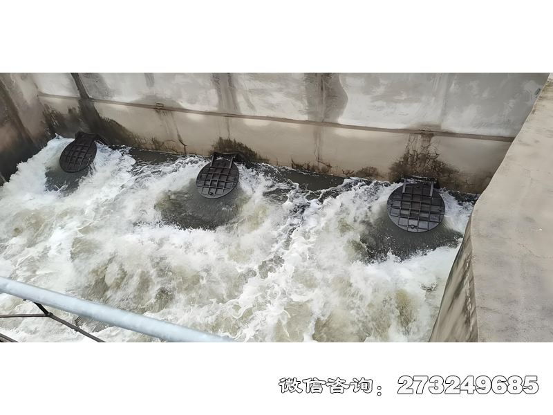 漳州海水养殖排水拍门
