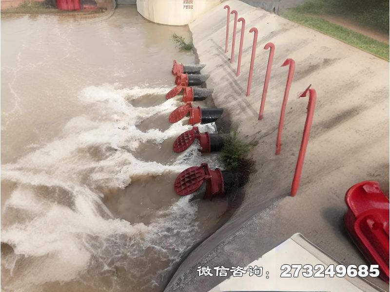 漳州海水生态防潮拍门