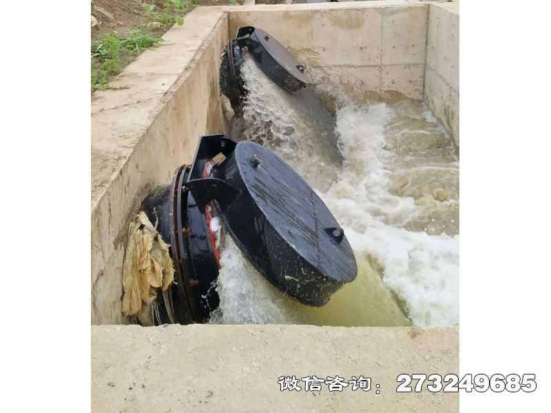 内江水库潮门拍门
