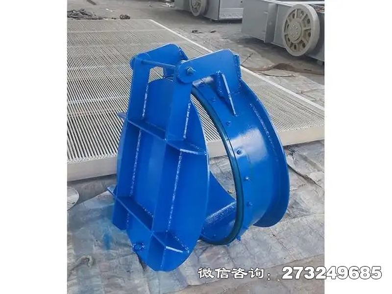 浦东新水库钢制防倒灌拍门