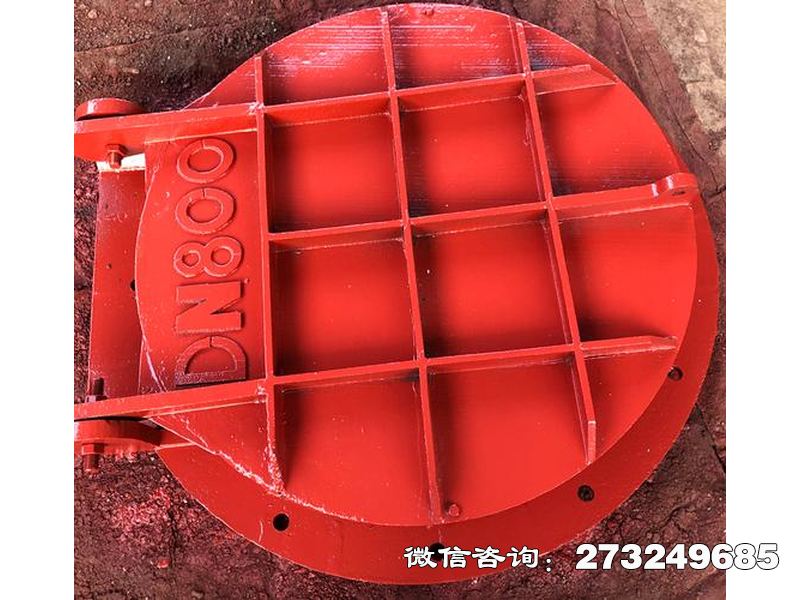 屯留县止回钢制管道拍门