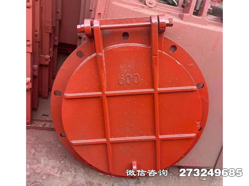 浦东新耐腐钢制污水拍门