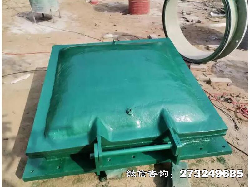 浦东新河道钢制排水拍门