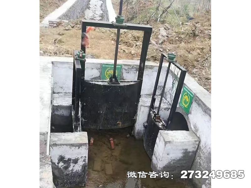 浦东新分水灌渠机闸一体闸门