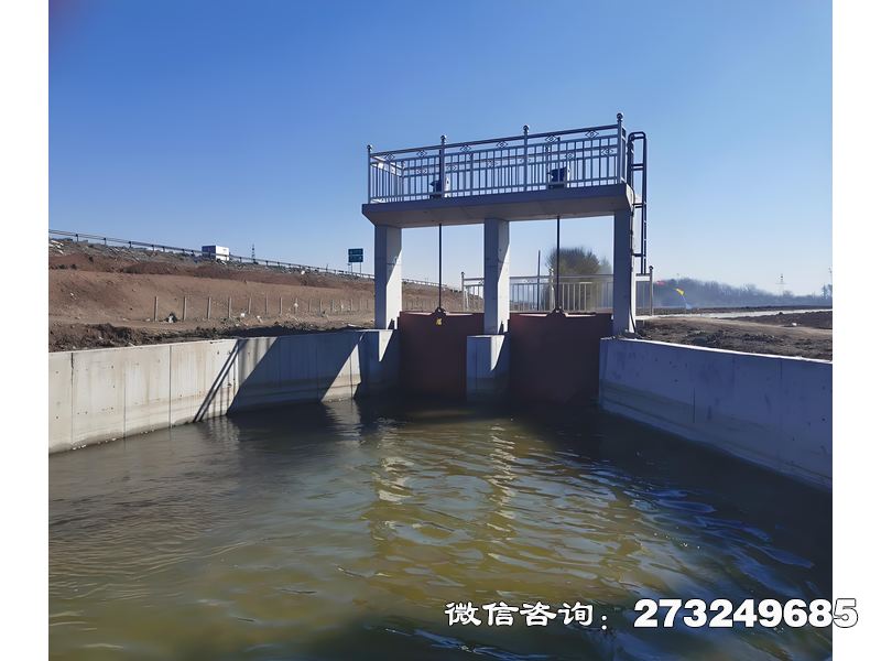 桃江县渠道进水闸