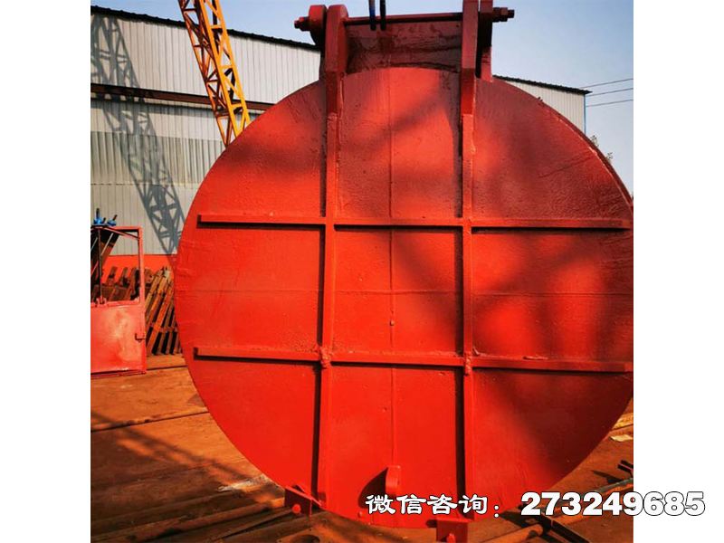 宁南县铸铁圆形分流拍门