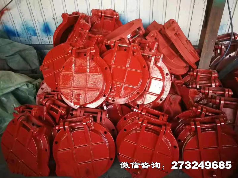 华宁县铸铁圆形泵站拍门