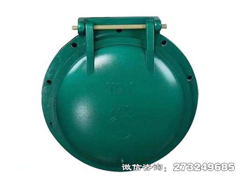 屯留县铸铁圆型潮汐防倒灌拍门