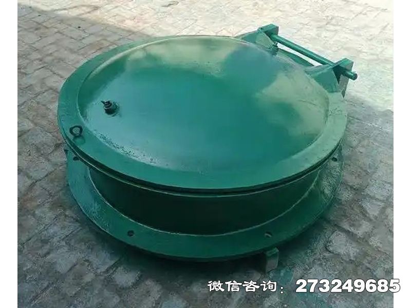屯留县铸铁圆型一体化泵站拍门